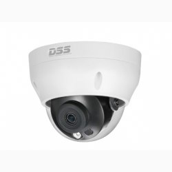 Camera IP DAHUA DS2431RDIP-S2
