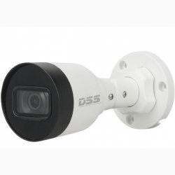 Camera IP DAHUA DS2431SFIP-S2