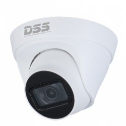 Camera IP DAHUA DS2431TDIP-S2