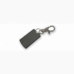 Keychain Proximity Card