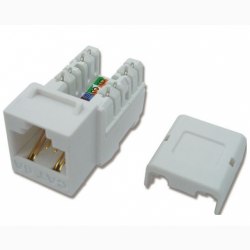 Modular Jack - Ổ cắm CAT.6A DINTEK